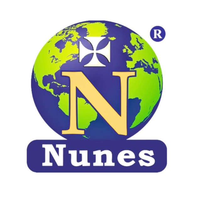 Nunes Instrumentation Logo